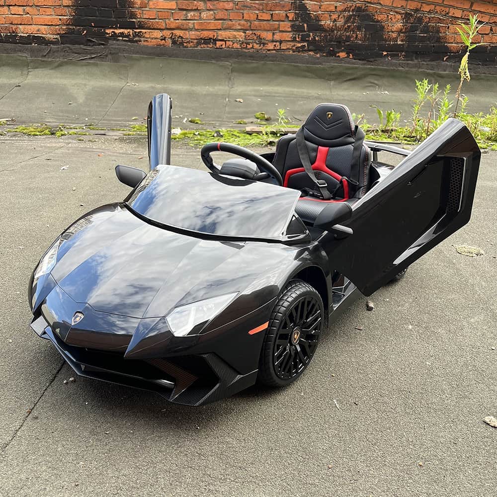 картинка Детский электромобиль Lamborghini Aventador SV Roadster 2WD 12V - BDM0931-BLACK 