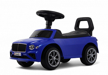 картинка Детский толокар Z004ZZ-T синий 